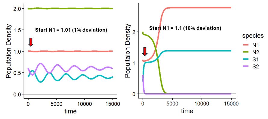 An example of alternative stateble states of coexistence and competitive exclusion in our model