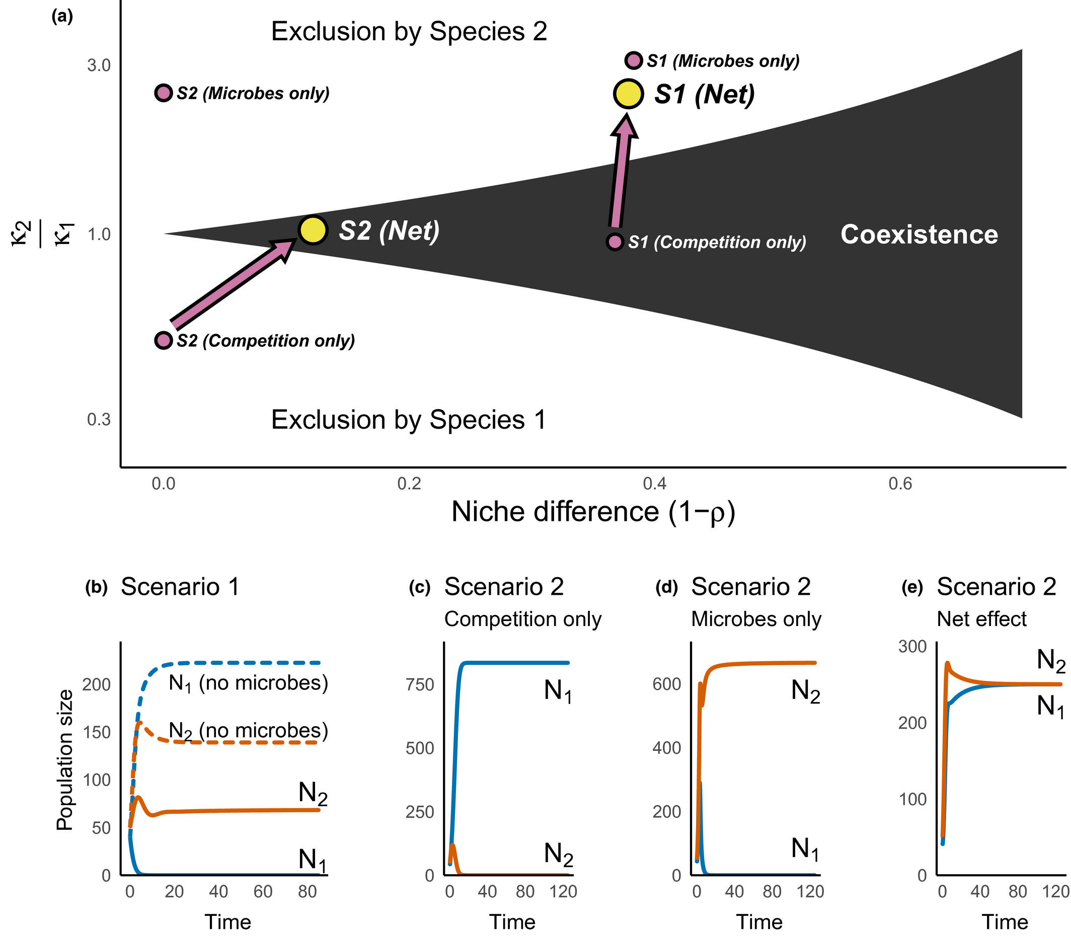 Both microbial interaction and competition can create among plants niche separation and fitness difference, and the interplay of the two determines the coexistence outcome.